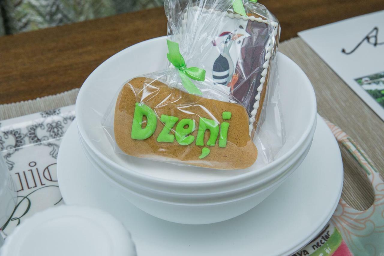 Amatciems Dzeniゲストハウス エクステリア 写真